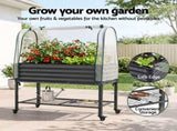 Green Fingers Mobile Raised Garden Bed with Greenhouse Cover Storage Shelf for Tomato Vegetables GB-AG-PLAT-GH-WH