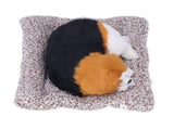 Simulation with Sound Lovely Vivid Novel Gifts Plush Plastic Material Toy Car DecorationBig V1294-YM0523-3115220002215