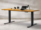 Levede Motorised Standing Desk Adjustable 140cm Natural 1000x 1MM DH4948-140D-BKNT