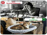 Adjustable Cat Hammock for Desk, Folding Cat Bed with Soft Faux Fur Liner and Breathable Mesh, V1341-ZY-RP7JNL77