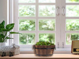 SKISUNO Set of 3 Wooden Plant Pots in Coffee Color, Rustic Home Decor , 15x12in V1370-AZ4-14064