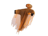 Hanging Pumpkin Ghost with Sound Battery Powered Rotatable Head Light Up Ghost Pumpkin Decoration V1294-YM0901-3115240055611