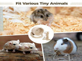 2PCS Hamster Wheel Set, Includes Silent Exercise Wheel and Adjustable Water Dispenser Stand, Hamster V1369-AZ3-W-08651