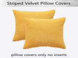 Holzlrgus Fall Set of 2 Striped Textured Velvet Corduroy Decorative Europe Sham Seasonal Autumn V1189-WXFWAL-20260319-01335