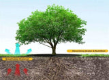 Tutuviw Non Woven Tree Ring, 24.4 inches Round Tree Base Weed Barrier Fabric Cover, Degradable and V1189-WXFWAL-20260319-00120