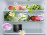 Refrigerator Deodorizer Odor Fridge Deodorizer Lasts 10 Years, Long-Lasting Odor V1370-AZ4-15991