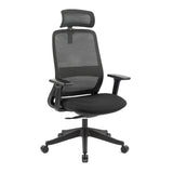 Carlie High Back Molded Foam Seat Ergonomic Office Chair In Black V369-311HB
