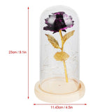 LED Rose Bedside Lamp Glass Night Light Birthday Gift Home Decoration V1294-YM0901-ZM03129-02