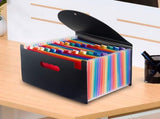File Organizer - 24-pocket expandable folder - A4 size accordion folder - expandable file organizer V1259-DP01-BO-177