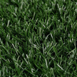 Pet Dog Potty Tray Training Toilet 1 Grass Mat 69cm x 43cm V274-PET-HH202