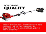 4 STROKE Whipper Snipper Straight Shaft Line Trimmer 31CC Pole Brush Cutter V379-TRIMSNIP431009