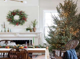 24 Inch Christmas Eucalyptus Red Berries for Front Door, Winter Green Eucalyptus Leaves V1258-DP02-C-2698