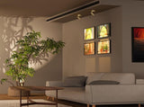 Spot Lights Indoor, Rechargeable Picture Light with Remote, Dimmable CCT Spotlight for Wall Art, V1171-CB-BOM001479-2