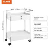 VEVOR Lab Cart, 2 Tiers Stainless Steel Utility Cart, Medical Cart with 2 Drawers, Rolling Lab Cart V952-SYSSTCB4Q235238MLV0
