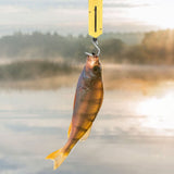 4-Pack Hanging Spring Scales, Iron Material, Precise Weighing Tool for Home Use and Outdoor V1369-AZ3-W-13401