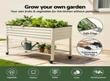 Green Fingers Mobile Raised Garden Bed With Wheels Storage Shelf 81cm Height for Vegetables Herb GB-AG-PLAT-WLS-WH