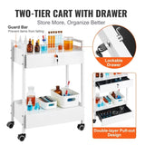 VEVOR Lab Cart, 2 Tiers Stainless Steel Utility Cart, Medical Cart with 2 Drawers, Rolling Lab Cart V952-SYSSTCB4Q235238MLV0