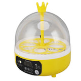 Mini Egg Incubator for Home Automatic Temperature Humidity Control 4 Eggs Candler Poultry Hatching V1294-YM0710-3111230297511