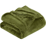 Snuggly Flannel Fleece Blanket, Soft Warm Lightweight Plush Throw For Lounge & Bedroom, Fruit Green, V1221-XM-LB3052-GM128