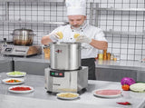 Food Processor & Vegetable Chopper, 18L Food-Grade Stainless Steel Food Processor Chopper with V952-AJSQSJ18L150H4734V3
