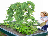 Cucumber Trellis for Climbing Plants, 35" x 55" Foldable Cucumber Trellis Set with Plant Clips, V952-HGPJTXCZAXJ3JGFLUV0