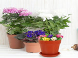 10 sets of unbranded imitation ceramic plastic flower with drainage containers and clay flower V1366-AZ2-W-13425