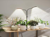 Dual Ring LED Grow Lights for Indoor Plants, 6000K Full Spectrum, Auto On Off Timer 4/8/12/18Hrs, V1237-ZY00B0D6RD1ZV2