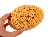 Drywall Texture Sponge Yellow for Wall Repair and Painting 6Pcs V1369-AZ3-W-20120