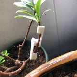 120Pcs 360 Degrees Adjustable Bend Plant Clip Plant Bender for Low Stress Training Plant Training V1192-AZ-W-22329
