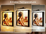 Wall Picture Light, 24in-Powered Gallery Light for Artwork, CCT Dimmable Rechargeable V1171-CB-TR-BPL-1-USB-RM-60CM