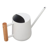 Watering Can 900ml Stainless Steel Long Spout Wooden Handle Elegant Flower Watering Pot for Garden V1294-YM0706-3111230174011