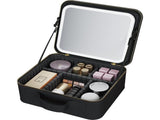 Wellcare Travel Makeup Bag DS-WEWCSM398