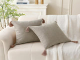 18" x 18" Decorative Throw Pillow with Inserts, Set of 2 Farmhouse Neutral Couch Throw Pillows with V1258-DP02-C-3205