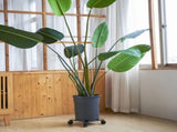 Flower Pot Roller Stand 50kg Load Capacity Rust Prevention Iron Easy to Move Plant Caddy with Wheels V1294-YM0703-3111230033711