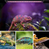 30cm Adjustable Reptile 5.0UVA UVB Lamps LED Light for Reptile Tanks Pet Lighting System V201-FBA0530BL8AU