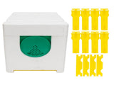 Queen Bee Mating Box Pollination Box Foam Frames Beekeeping Tool Beekeeping Equipment V1294-YM0721-3111210044411