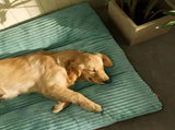 Luxuriously Soft and Thick Pet Sleeping Mat, Perfect Four-Season Floor Bed for Dogs and Cats, V1341-ZY-P5APP8GV-XL-GREEN