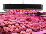 300W 100LED Chips Grow Lamp Full Spectrum Plant LED Panel Growing Lights Fixture V1294-YM0901-3111200248311