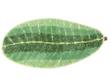Leaf shaped Floor Mat Entrance Non slip Door Mat for Living Room Bedroom Home Supplies V1294-YM0901-3112200062511