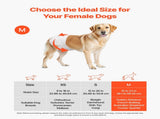 Disposable Dog Diapers, Super Absorbent Female Dog Diapers, 360&deg Leak-Proof Female Doggy Pet Diaper V952-CWNBZNKMG96PE32U1001V0