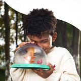 Bug Catcher Kit for Kids, Butterfly Bug House Insect Observation Box with 5X Magnifying Glass, V1370-AZ4-06552