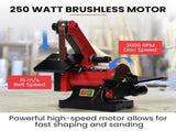 BAUMR-AG Bench Vertical Belt and Disc Sander Combo, 25mm Linisher, 125mm Sanding Disc, Brushless V219-SNDBELBMS45A