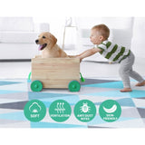 Artiss Rug 200x290cm Area Rug Large Carpet Soft Short Pile Modern Tria FLR-1888-200X290-BG-BL