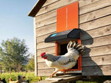 Automatic Chicken Coop Door, Battery Powered Chicken Coop Door with Timer & Manual Setting, V952-JSKMQCSSKGDCNGEKL001V9