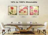Picture Lights for Wall Plug in or Hardwired,3000K Warm White Dart Board Lights with V1171-CB-BOM001536
