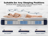 RoomSense King Mattress , 30cm Medium Firm Hybrid Mattress with Latex Lumbar Support for Back Pain XFKF-MA-1667-30-K