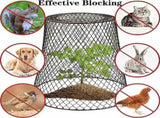 Chicken Wire Cloche Plant Covers Garden Netting Metal Heavy Duty Mesh Plant Cage Protectors from V1192-AZ-W-15590