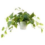 Fake Plants Artificial Plants Indoor, Realistic Artificial Hanging Fake Pothos with Plastic Pots, V1370-AZ4-13400