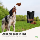 50x Dog Treat Large Pig Ears Whole - Dehydrated Australian Healthy Puppy Chew V238-SUPDZ-40299542249552