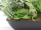 Set 2 Asst Potted Artificial Succulents 19cm V637-05059SUC